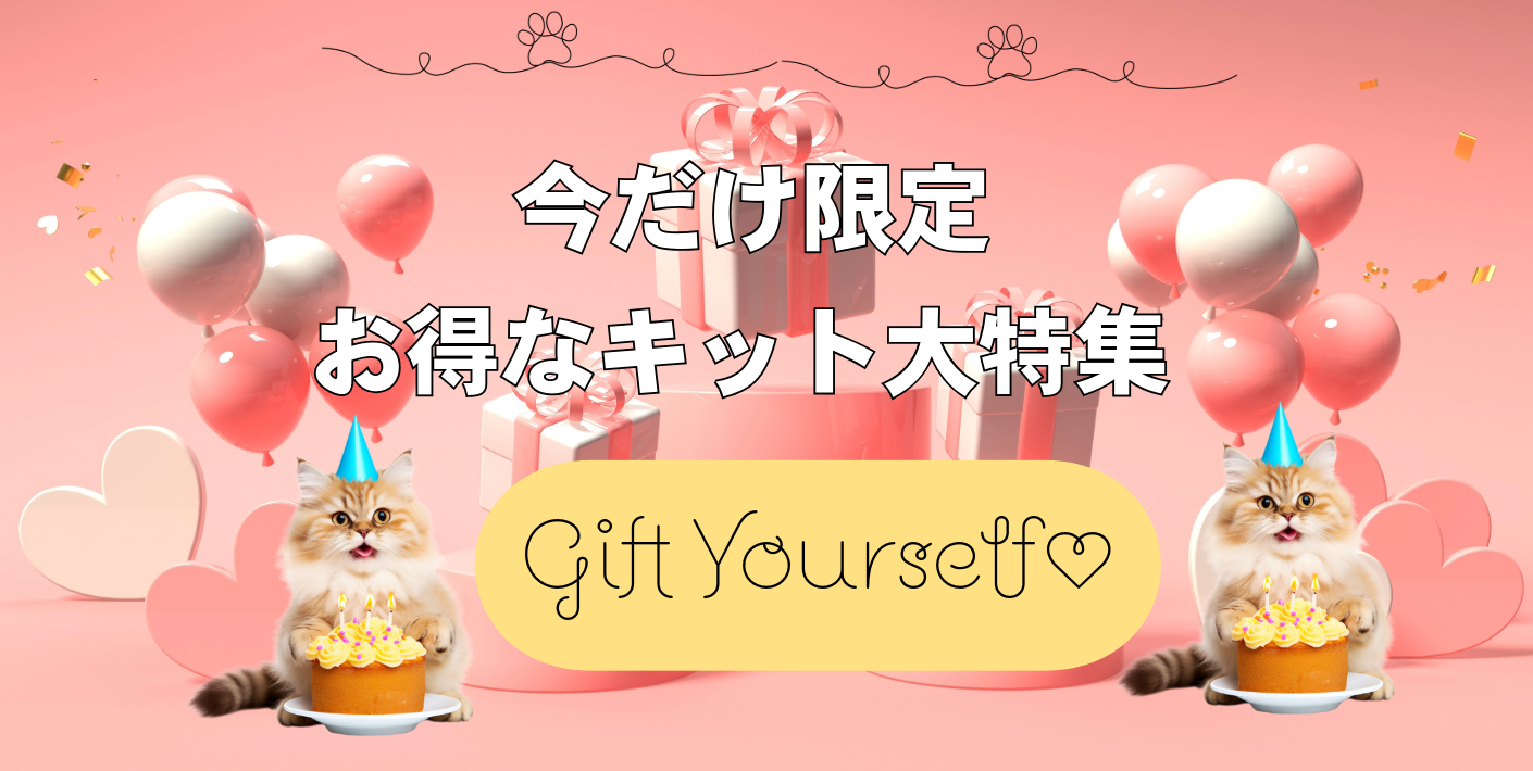 今だけ限定!お得なキット特集